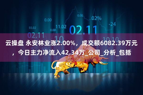 云操盘 永安林业涨2.00%，成交额6082.39万元，今日主力净流入42.34万_公司_分析_包括