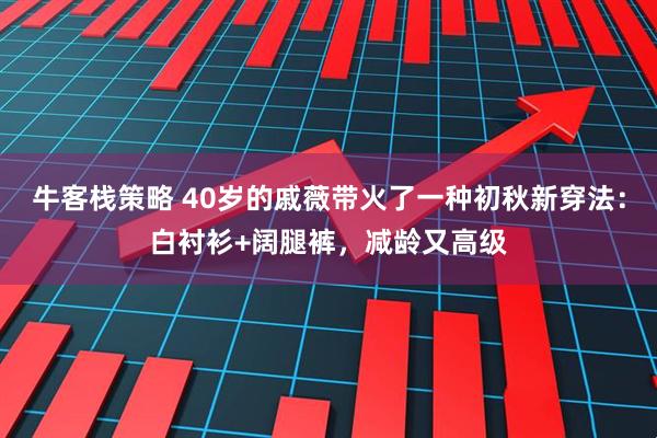 牛客栈策略 40岁的戚薇带火了一种初秋新穿法：白衬衫+阔腿裤，减龄又高级