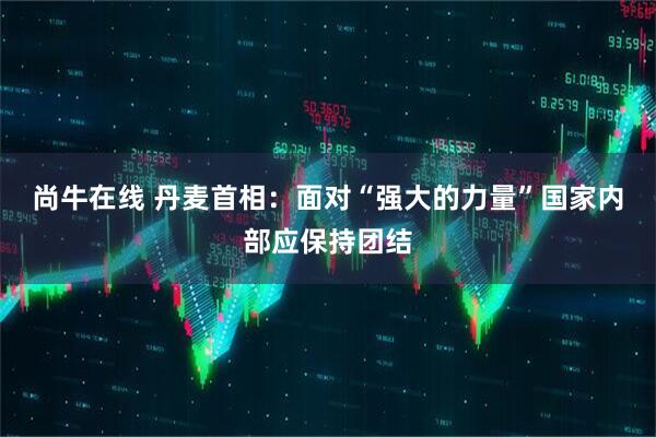 尚牛在线 丹麦首相：面对“强大的力量”国家内部应保持团结
