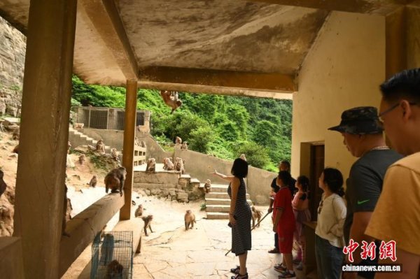 鑫优配 东盟等境外游客来渝“温泉游”渐热